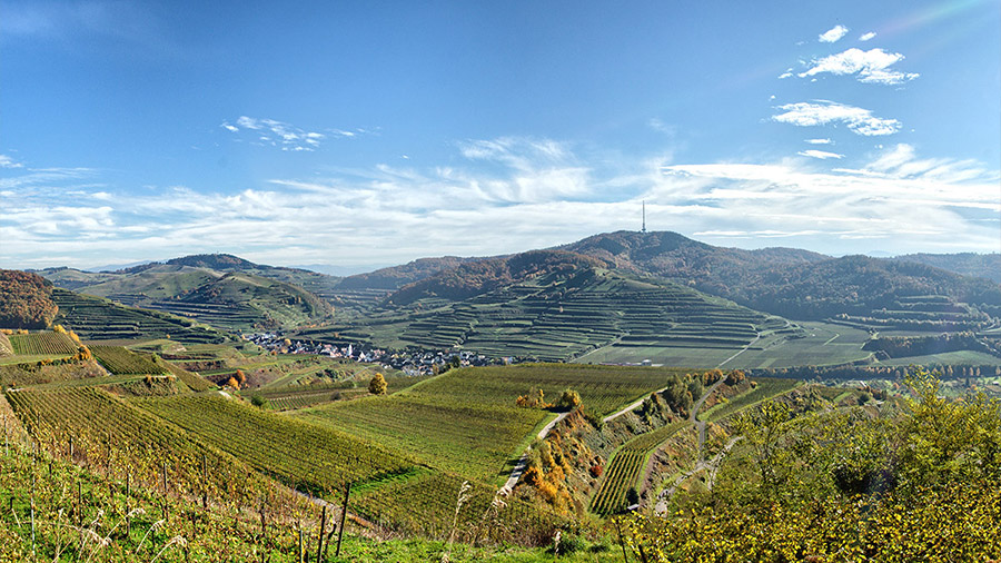 Vogtsburg im Kaiserstuhl