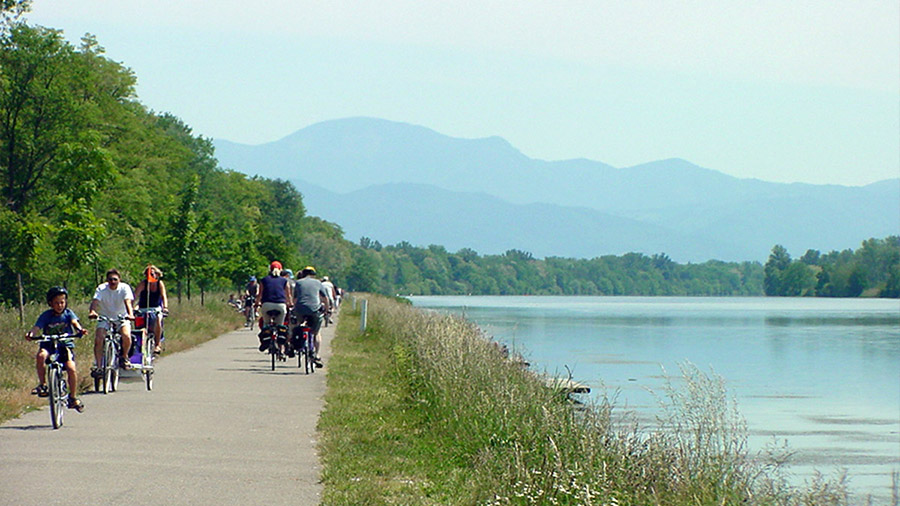 Rhein